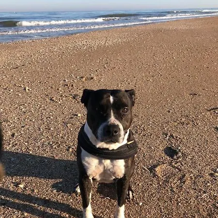 La Petite Chaumiere Sur Le Rivage Houlgate