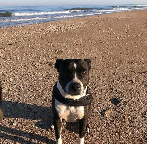 La Petite Chaumiere Sur Le Rivage Houlgate