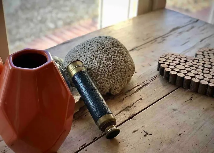 La Petite Chaumiere Sur Le Rivage شقة